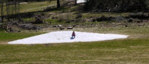 Nein, Susanne macht nicht Kacka